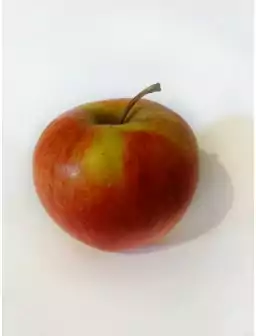 Jabłoń SZAMPION