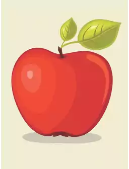 Jabłoń ZŁOTA RENETA