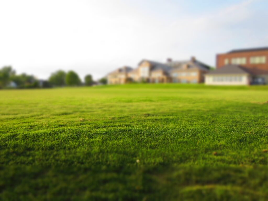 Duży, zieony trawnik z zabudowaniami w oddali. 